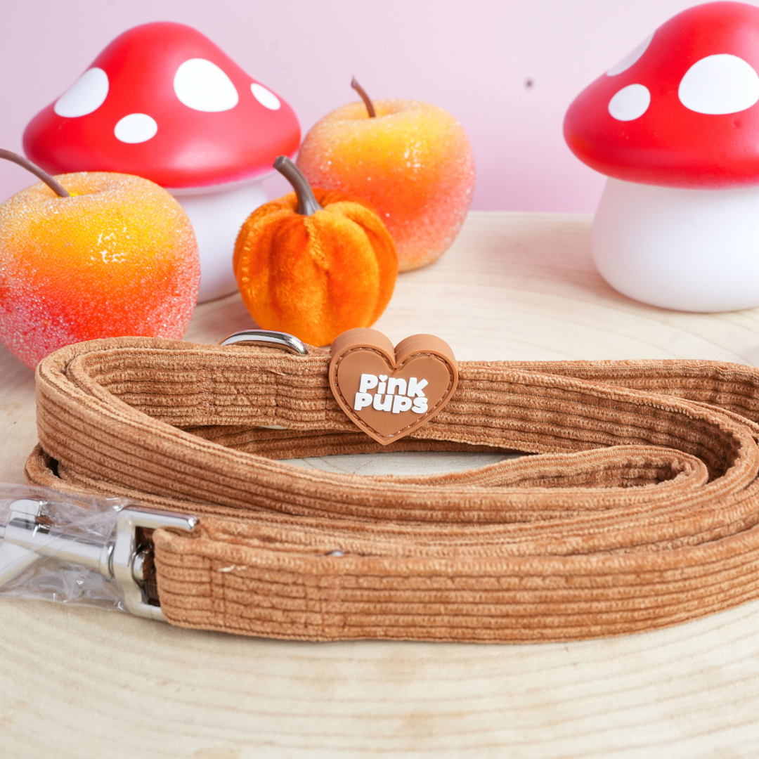 Toffee Apple Corduroy Dog Lead