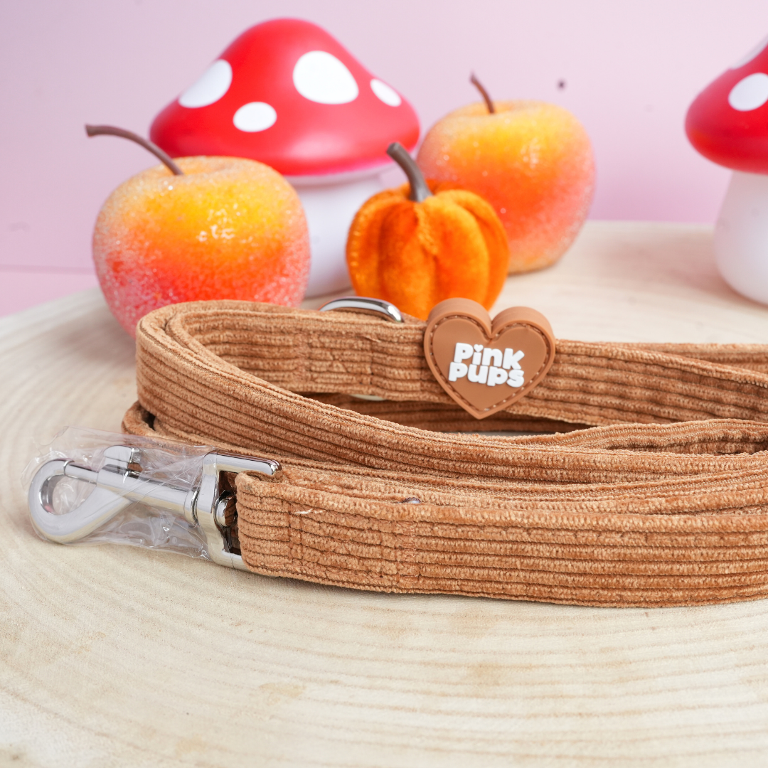 Toffee Apple Corduroy Dog Lead