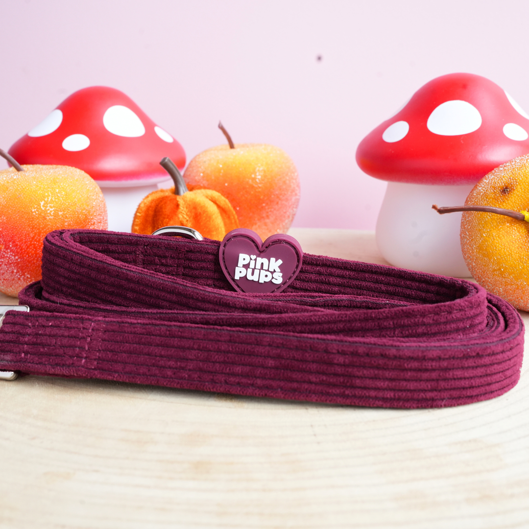 Mulled Plum Corduroy Dog Lead