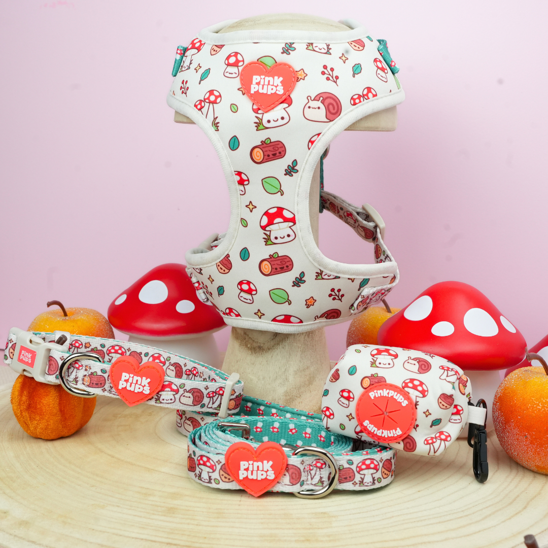 Woodland Whimsy Dog Lead