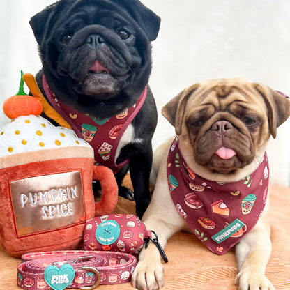 Pupkin Spice Latte Dog Harness