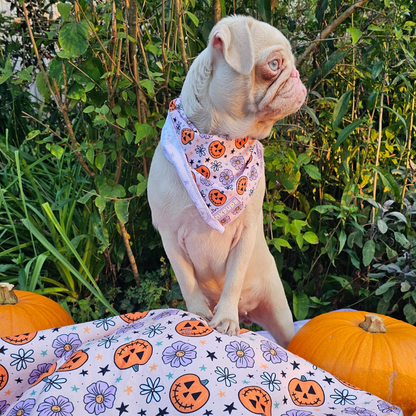 Pumpkins and Petals Halloween Fleece Dog Blanket