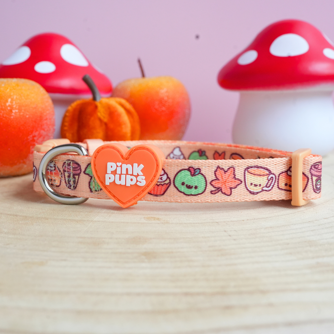 Hello Gourdgeous Dog Collar