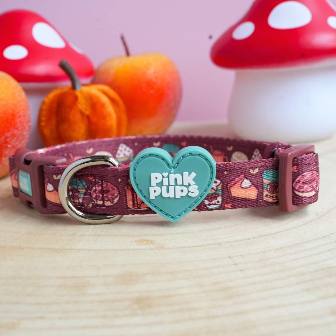 Pupkin Spice Dog Collar