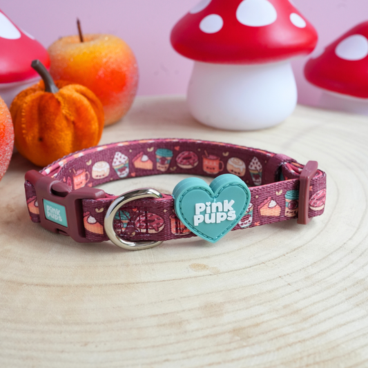 Pupkin Spice Dog Collar