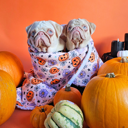 Pumpkins and Petals Halloween Fleece Dog Blanket