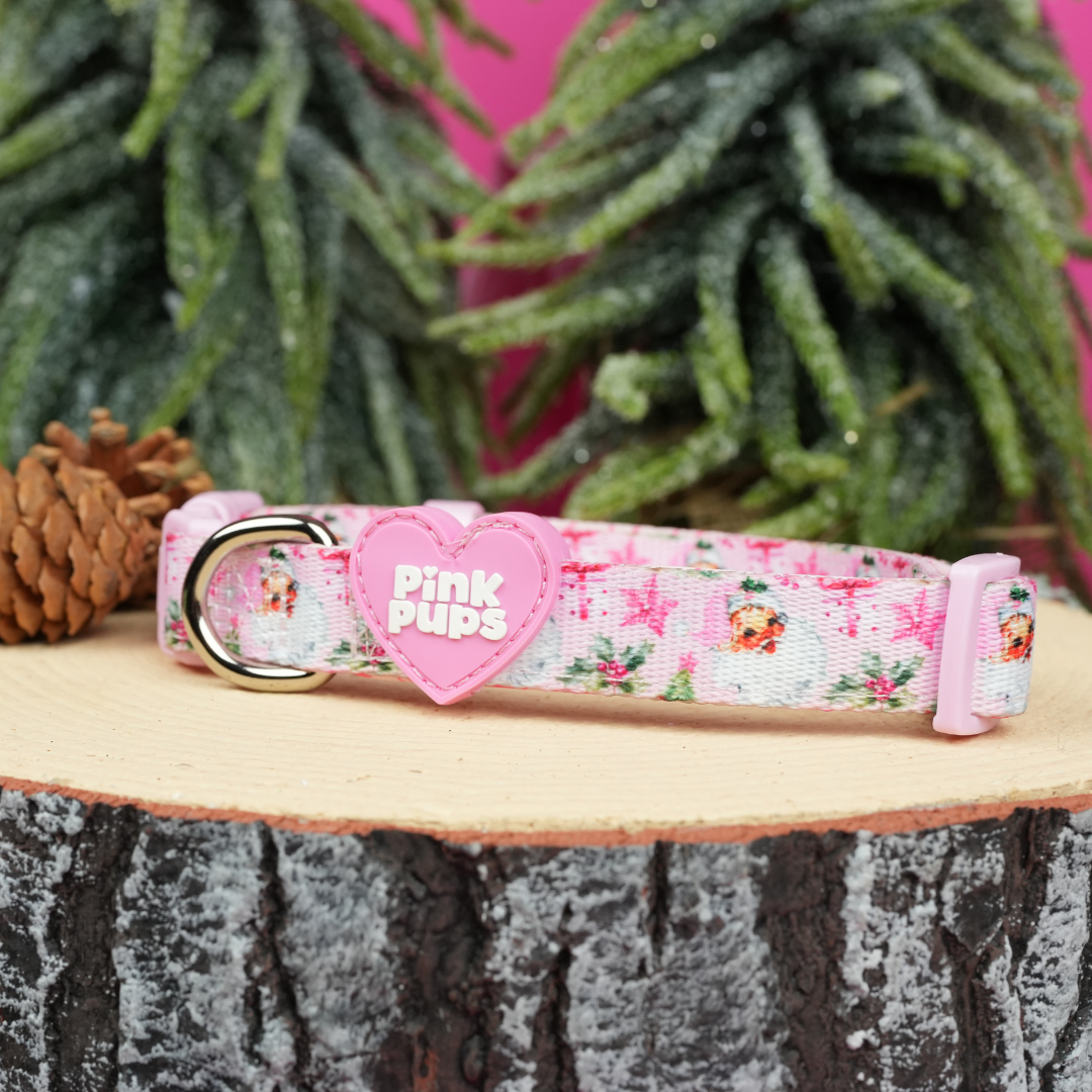 Santa Baby Christmas Dog Collar