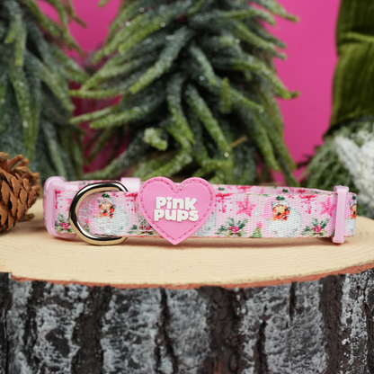 Santa Baby Christmas Dog Collar