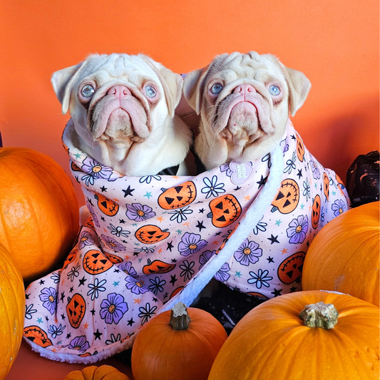 Pumpkins and Petals Halloween Fleece Dog Blanket