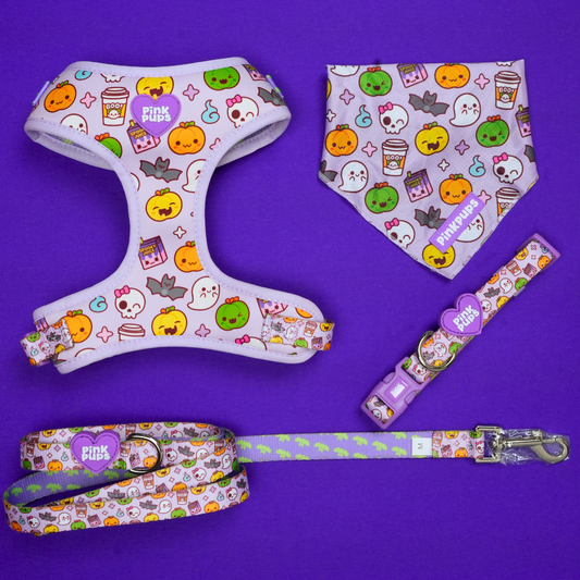 Fright Night Halloween Dog Lead