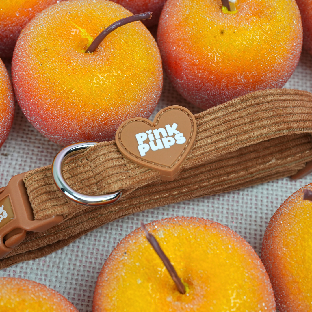 Toffee Apple Corduroy Dog Collar