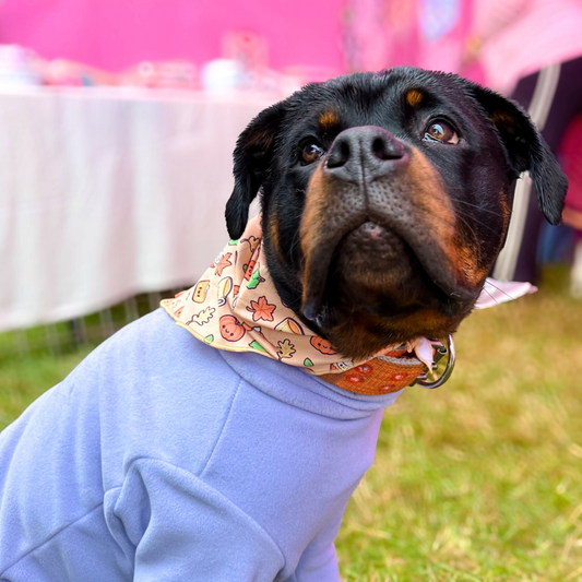 Hello Gourdgeous Bandana