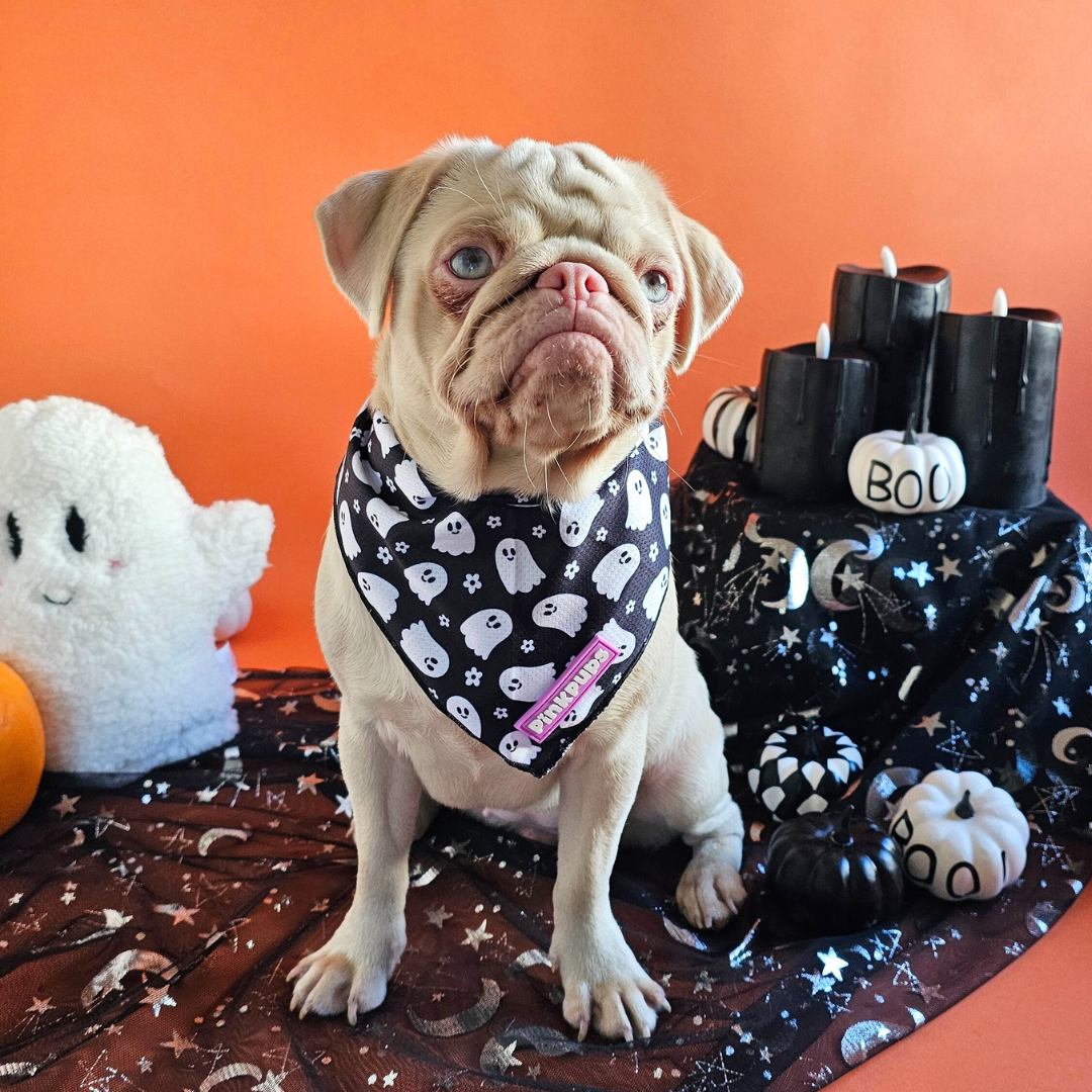 Spooky Season Halloween Bandana