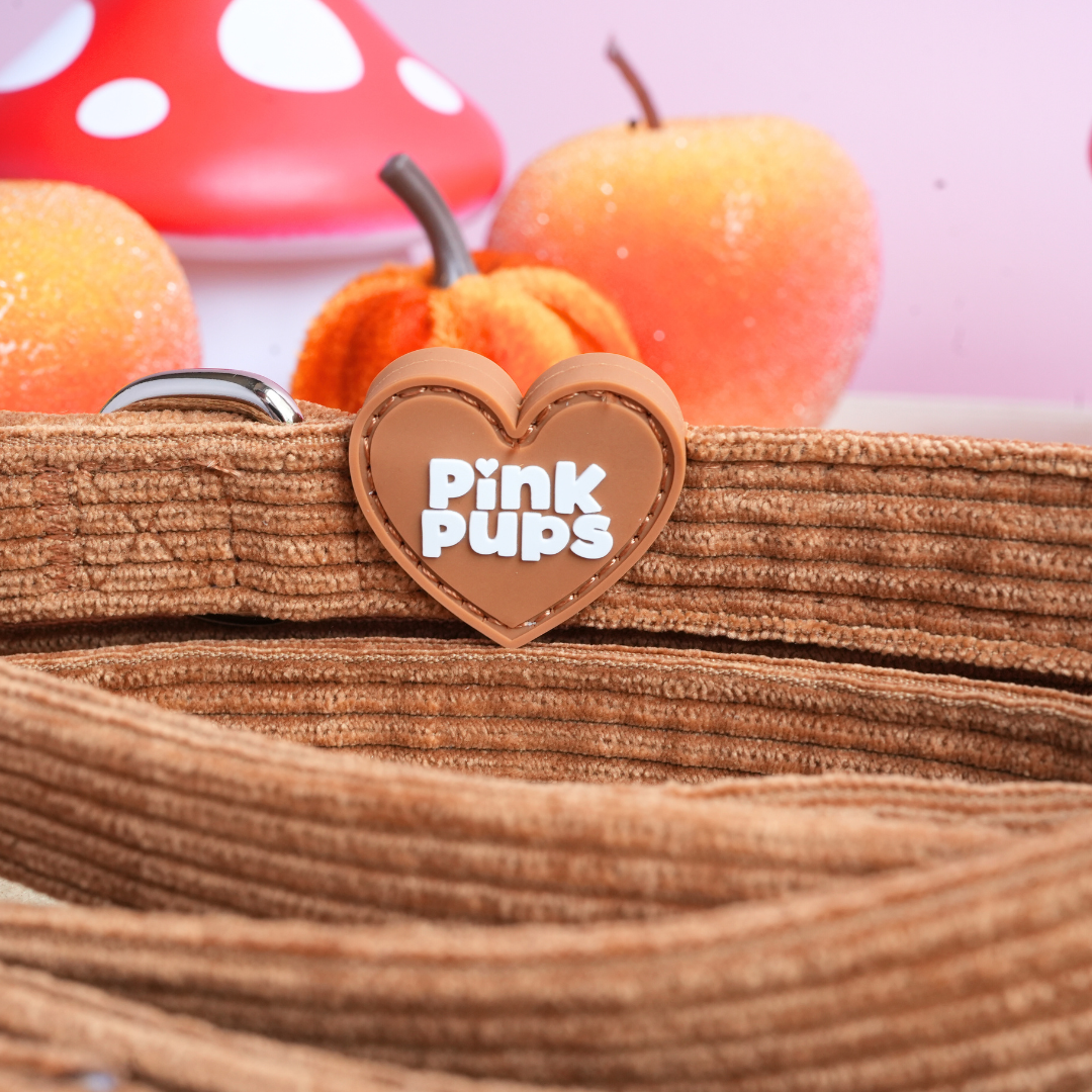 Toffee Apple Corduroy Dog Lead