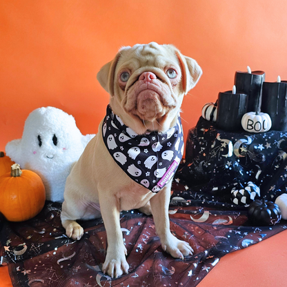 Spooky Season Halloween Bandana