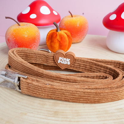 Toffee Apple Corduroy Dog Lead