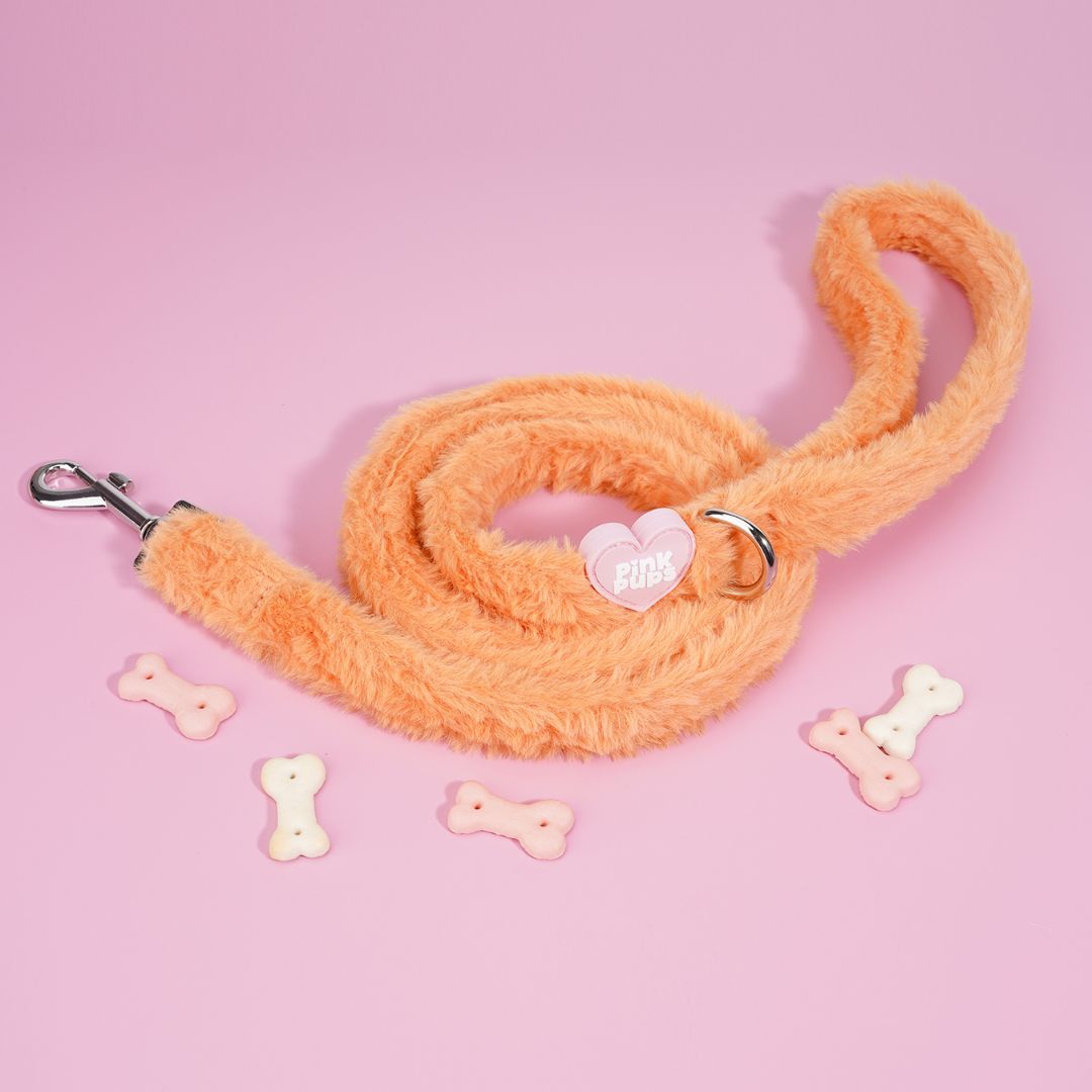 Teddy Bear's Picnic Fur Leash