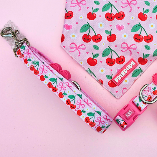 Sour Cherry Dog Leash