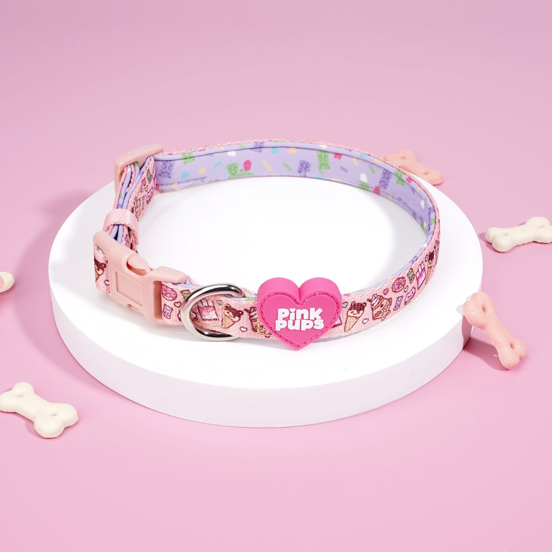 Summer Snack Dog Collar