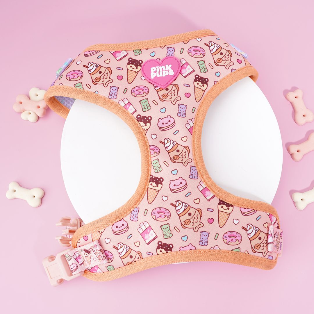 Summer Snack Dog Harness