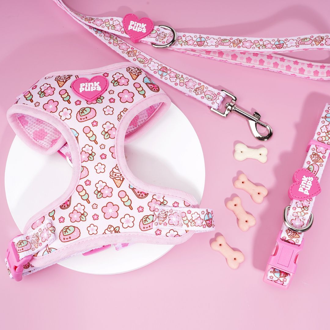 Cherry Blossom Dog Harness