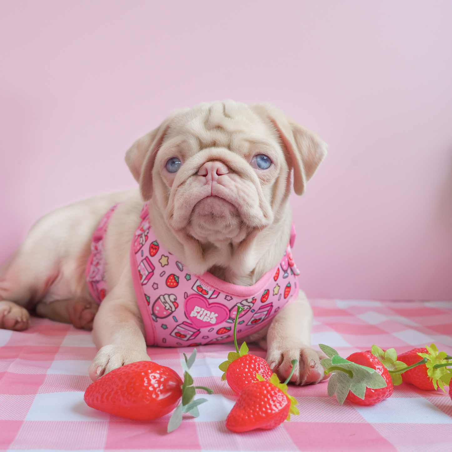 Milkshake Dog Harness