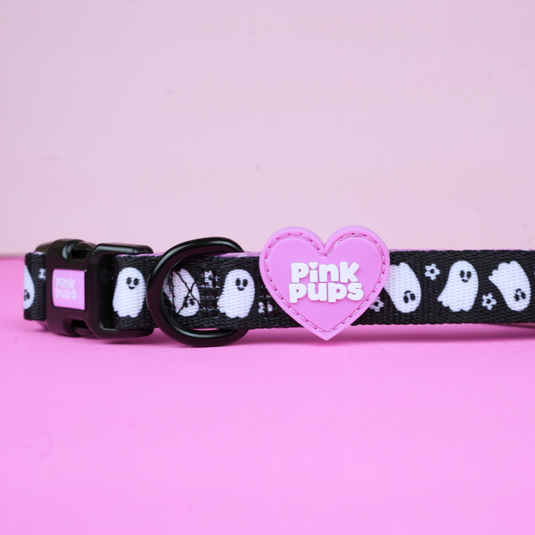 Spooky Season Halloween Dog Collar