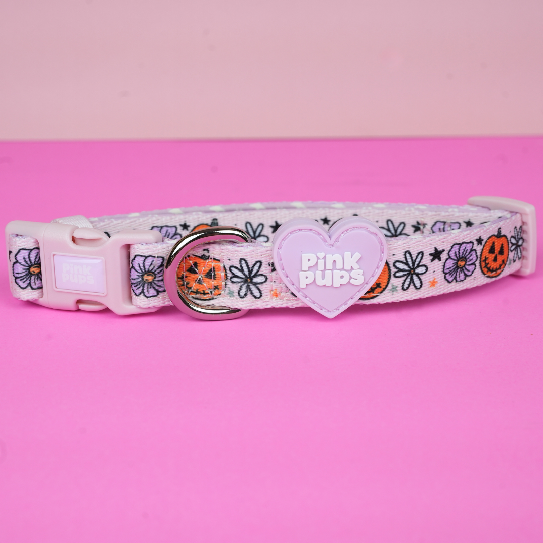 Pumpkins and Petals Walkies Bundle