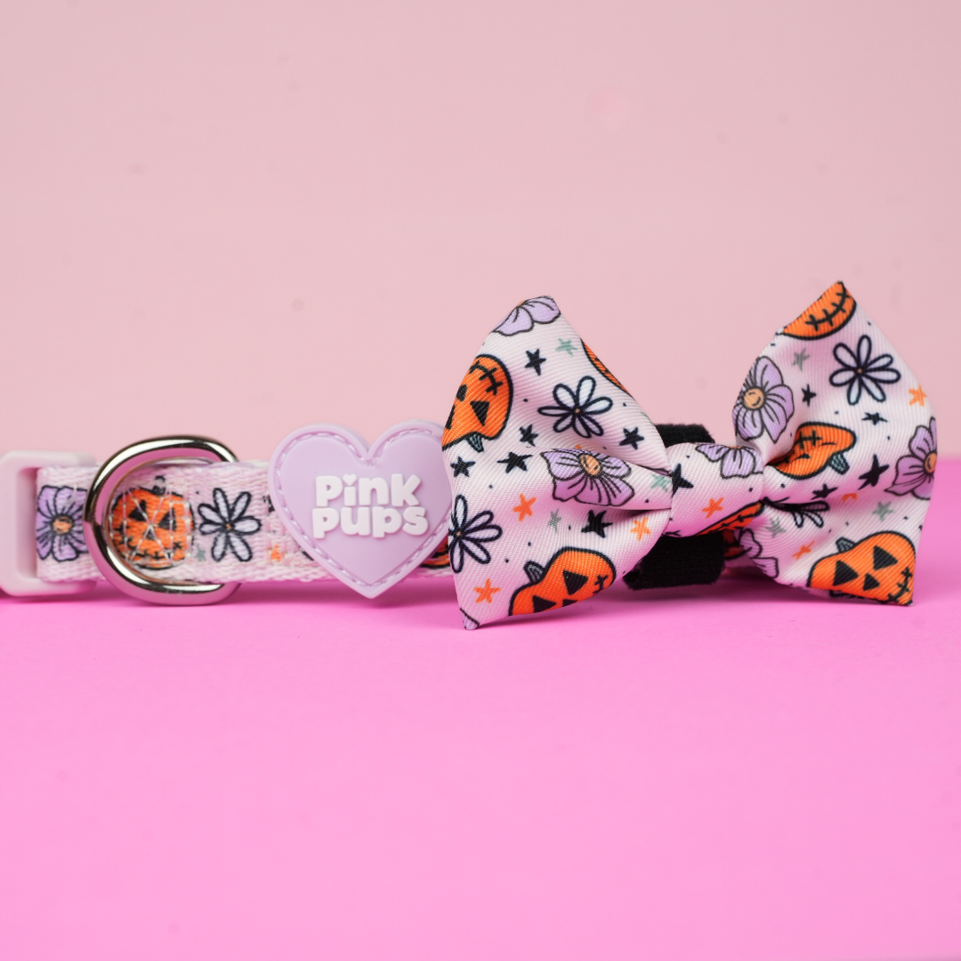 Pumpkins and Petals Dog Collar