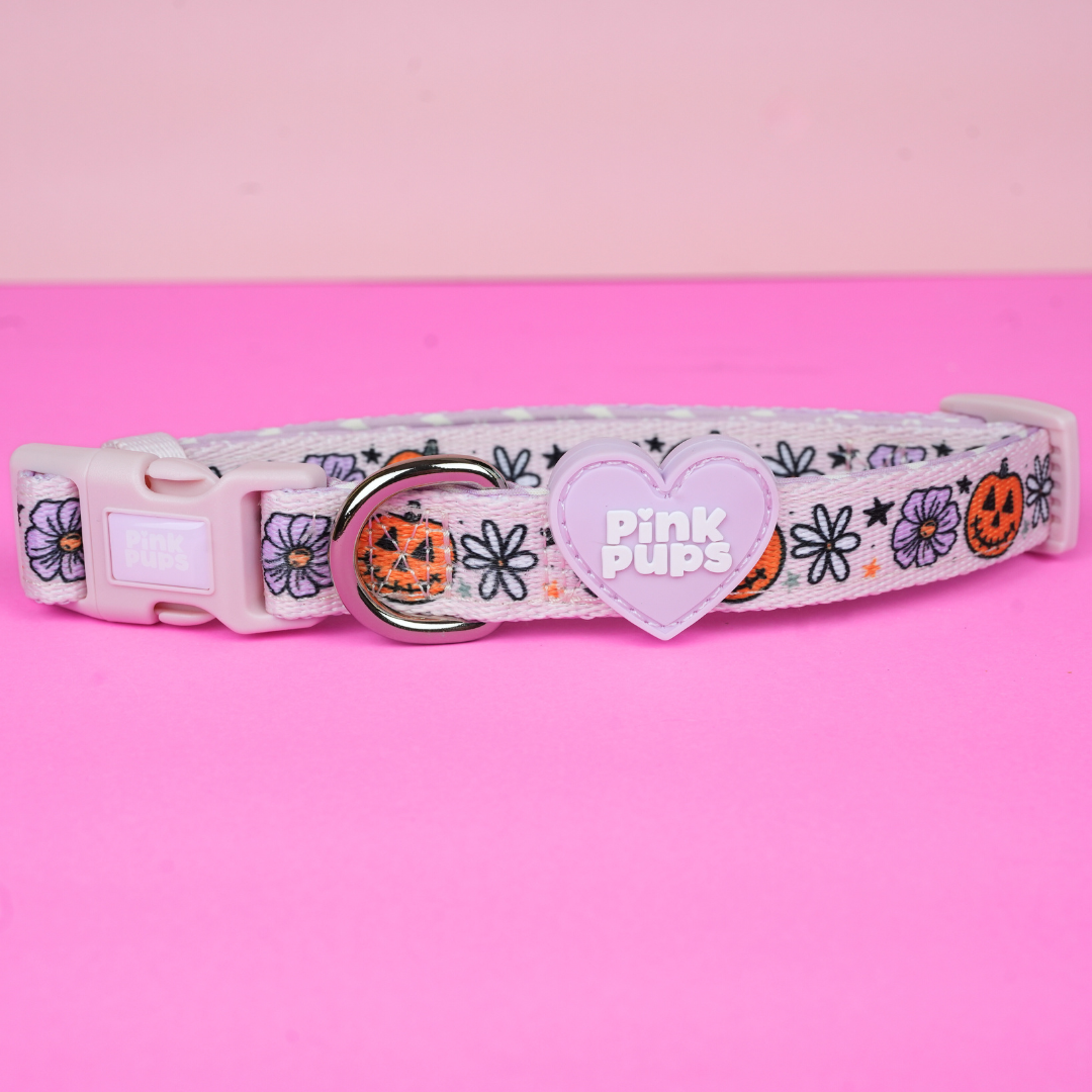 Pumpkins and Petals Dog Collar