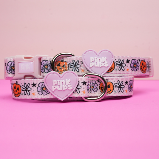 Pumpkins and Petals Dog Collar