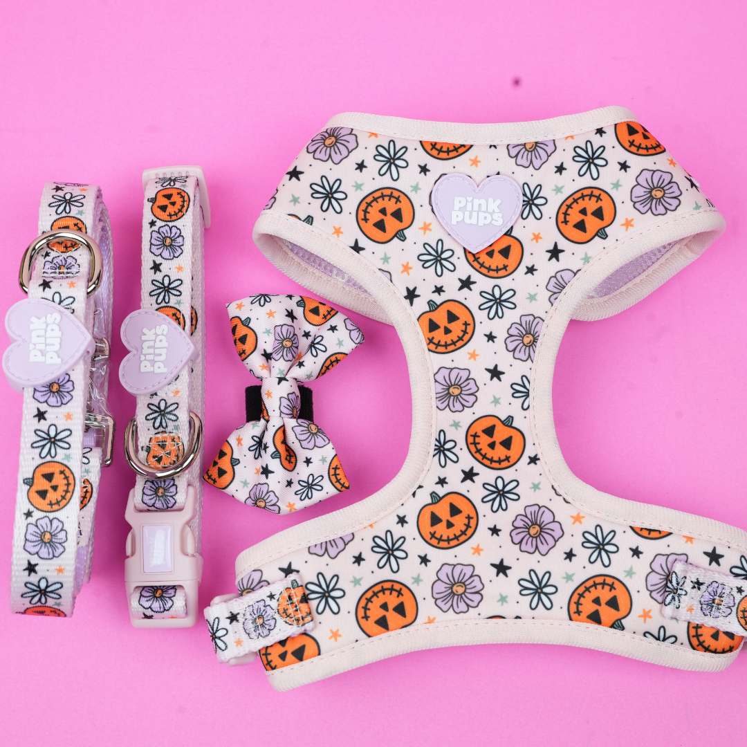 Pumpkins and Petals Dog Harness