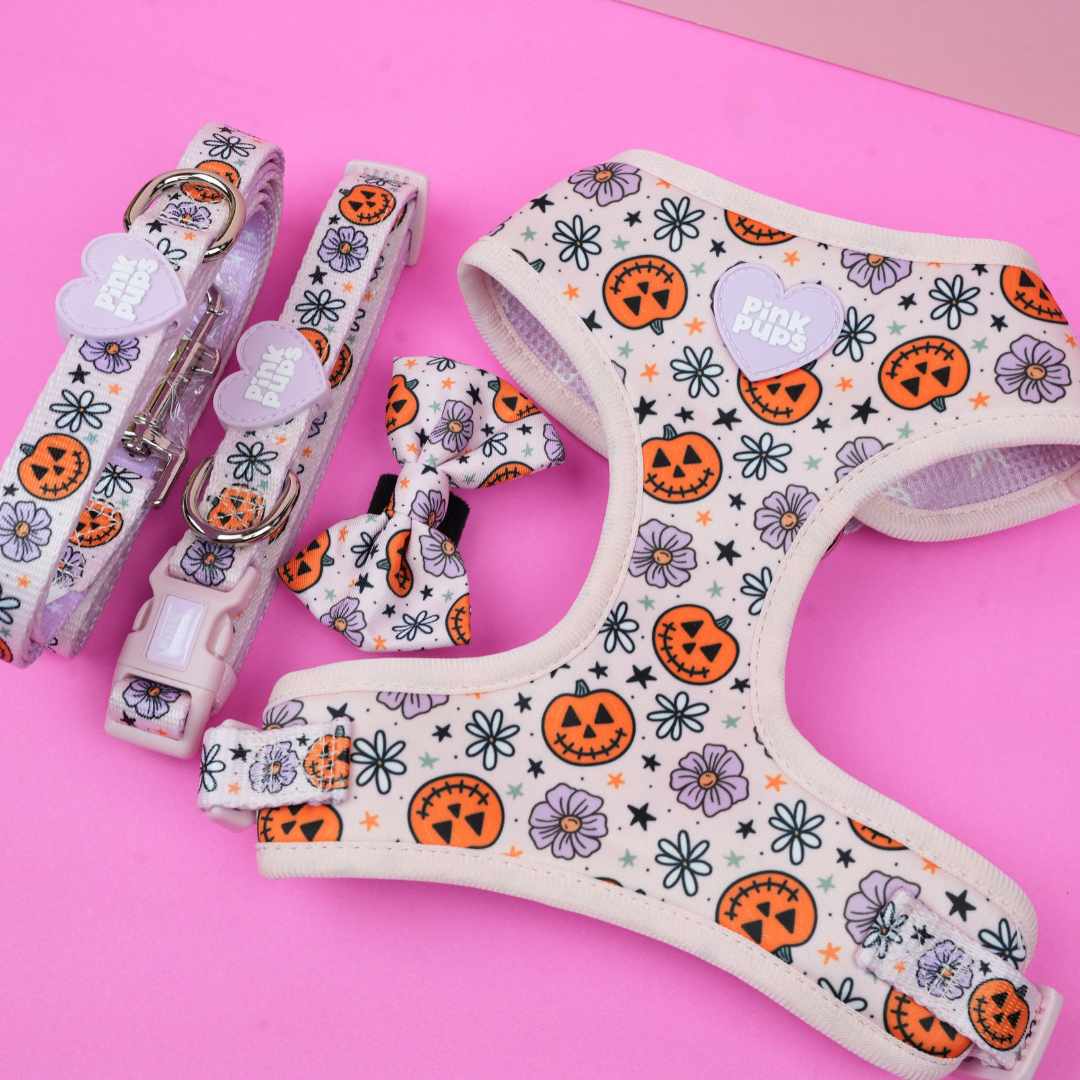 Pumpkins and Petals Dog Harness