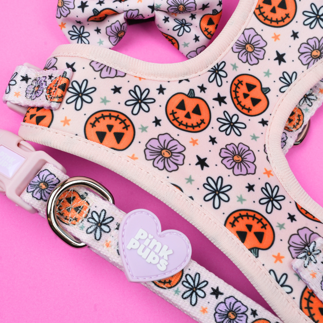 Pumpkins and Petals Dog Harness