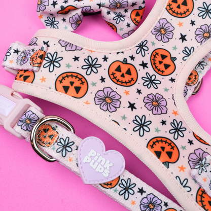 Pumpkins and Petals Dog Harness