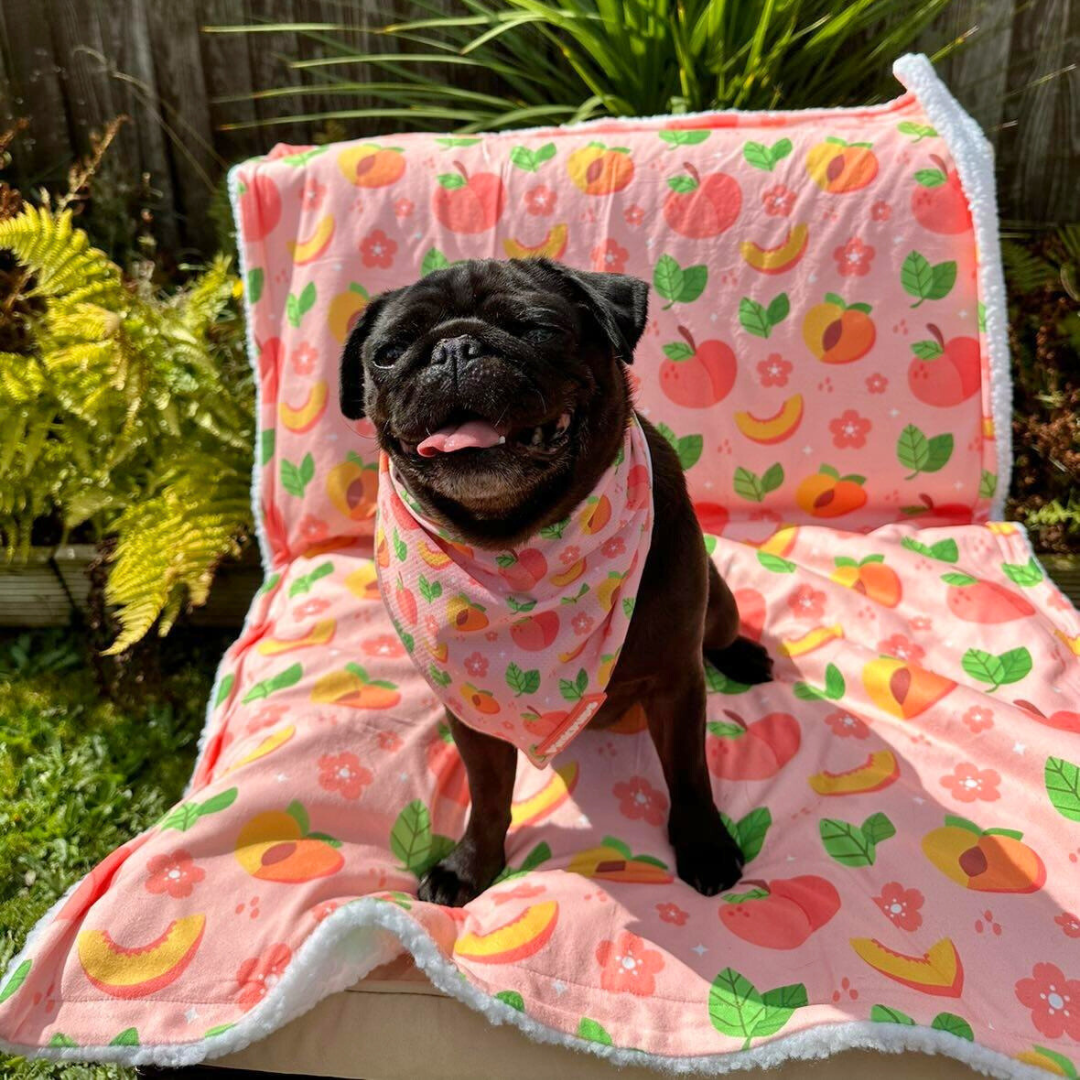 Just Peachy Dog Blanket