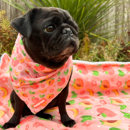 Just Peachy Dog Blanket