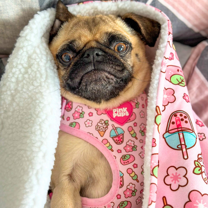 Cherry Blossom Dog Blanket