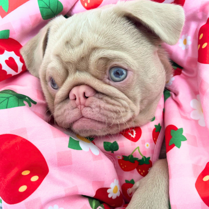 Strawberry Dog Blanket