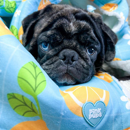 Lemonade Dog Blanket