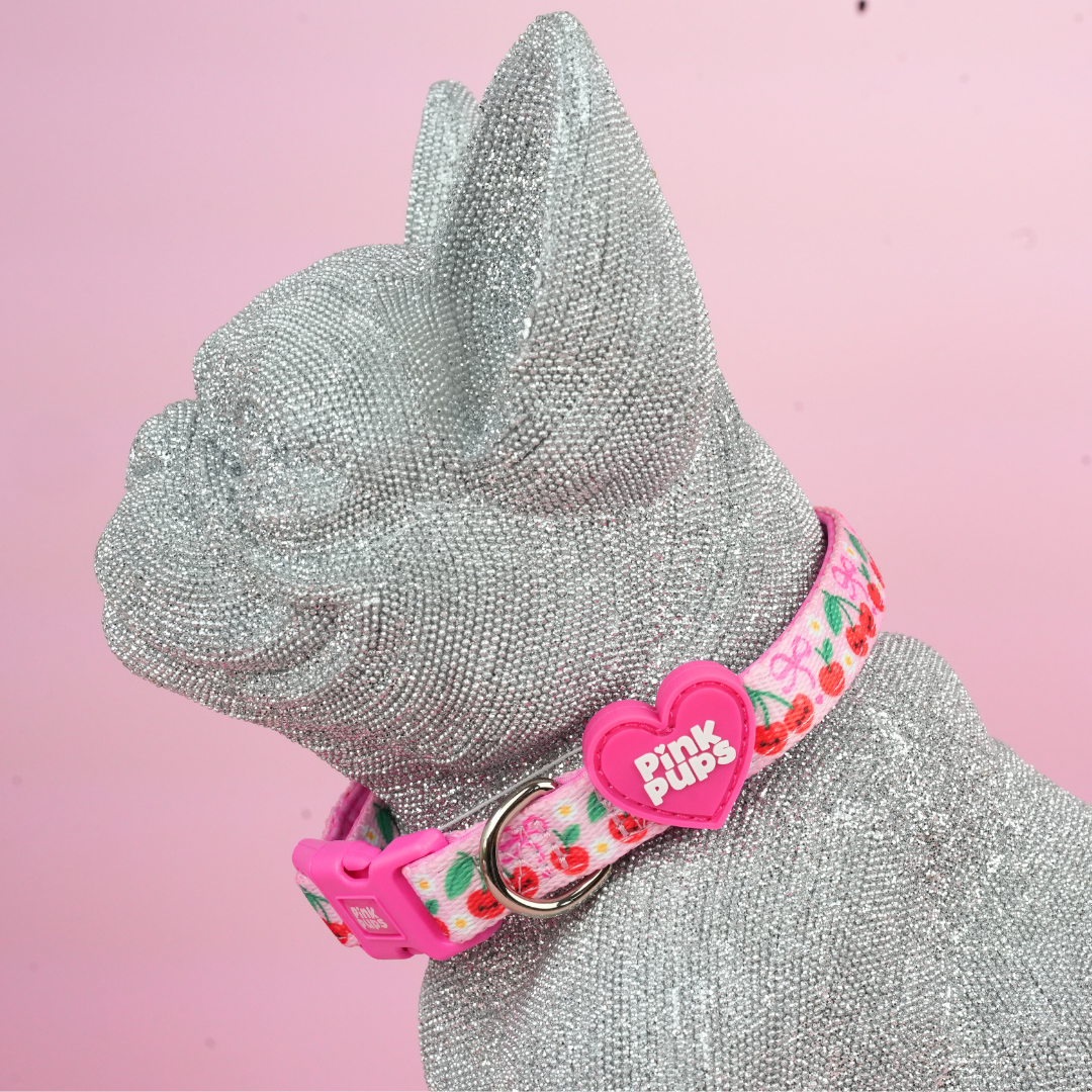 Sour Cherry Dog Collar